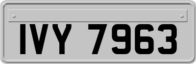 IVY7963