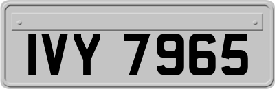 IVY7965