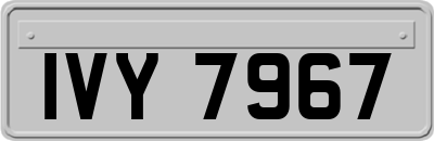 IVY7967