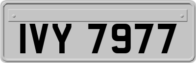 IVY7977
