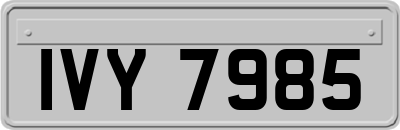 IVY7985