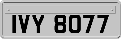 IVY8077