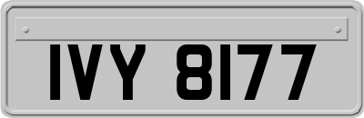 IVY8177