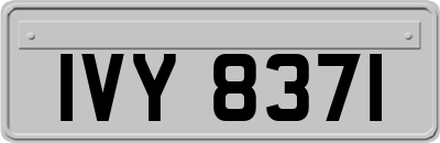 IVY8371