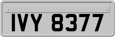 IVY8377