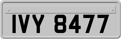 IVY8477
