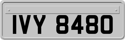 IVY8480
