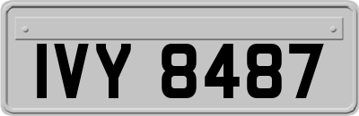 IVY8487
