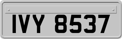 IVY8537