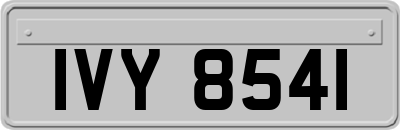 IVY8541