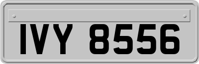 IVY8556