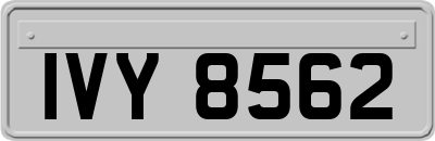 IVY8562