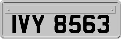 IVY8563