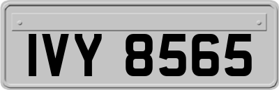 IVY8565