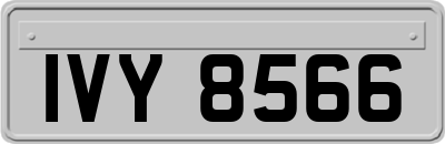 IVY8566