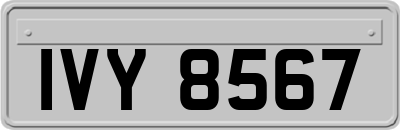 IVY8567
