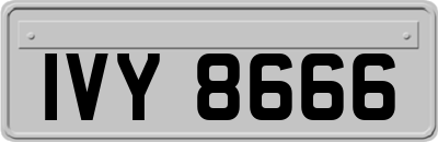 IVY8666
