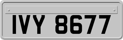 IVY8677