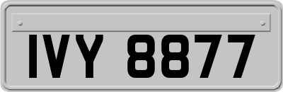 IVY8877