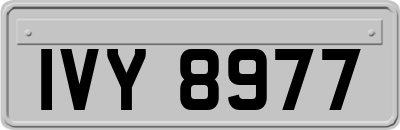 IVY8977