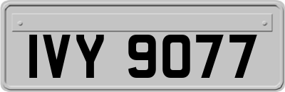 IVY9077