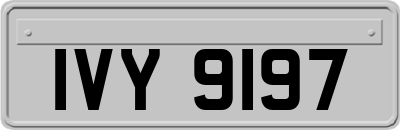 IVY9197