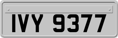 IVY9377