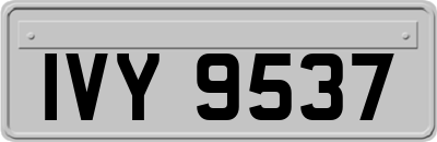IVY9537
