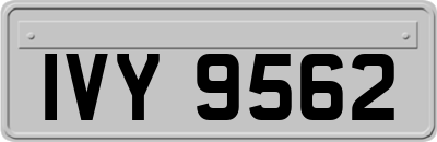 IVY9562