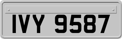 IVY9587