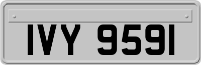 IVY9591