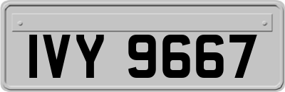 IVY9667