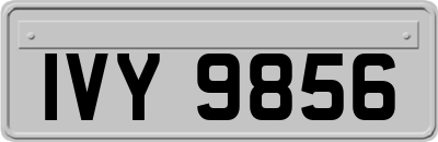 IVY9856