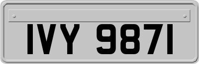 IVY9871
