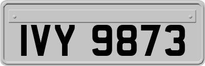 IVY9873