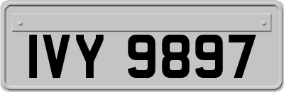 IVY9897