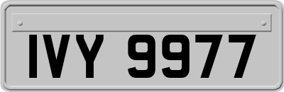 IVY9977