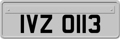 IVZ0113