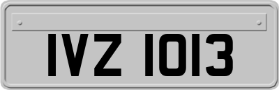 IVZ1013