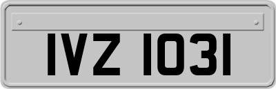 IVZ1031