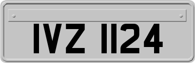 IVZ1124