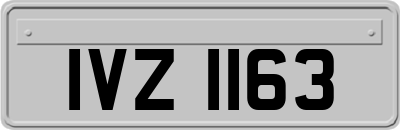 IVZ1163