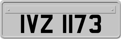 IVZ1173