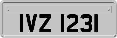 IVZ1231