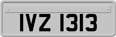 IVZ1313