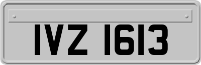 IVZ1613