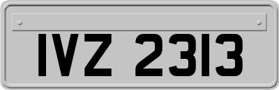 IVZ2313