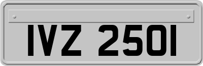 IVZ2501