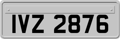 IVZ2876