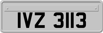 IVZ3113
